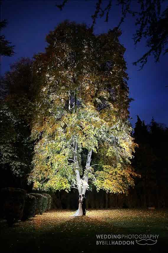 Ansty Hall tree at night
