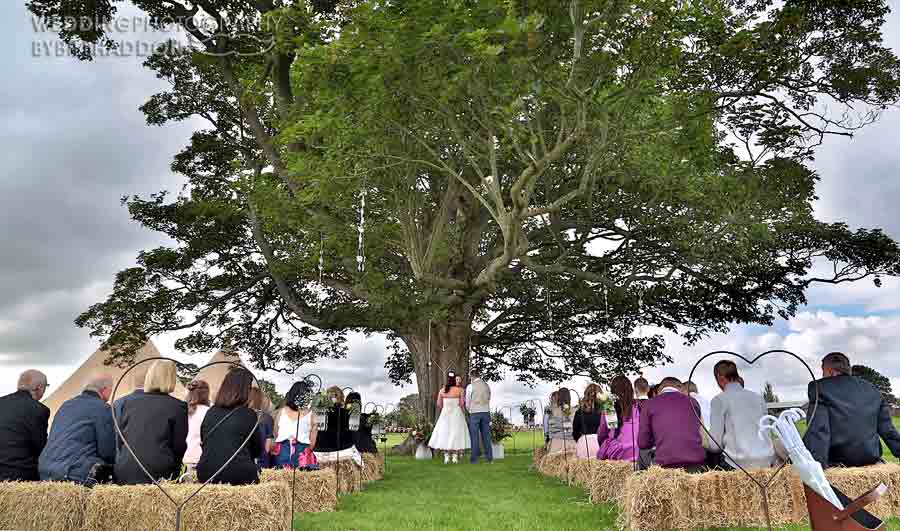  wedding ceremony under oak tree